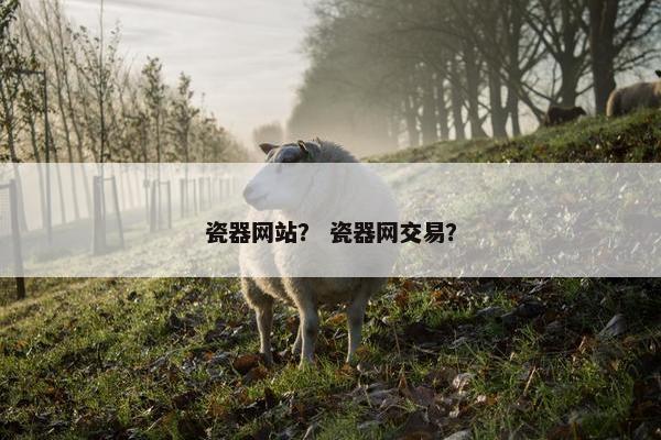 瓷器网站？ 瓷器网交易？