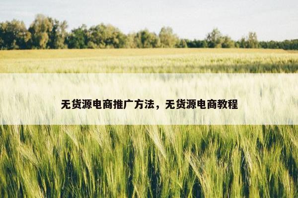无货源电商推广方法,无货源电商教程