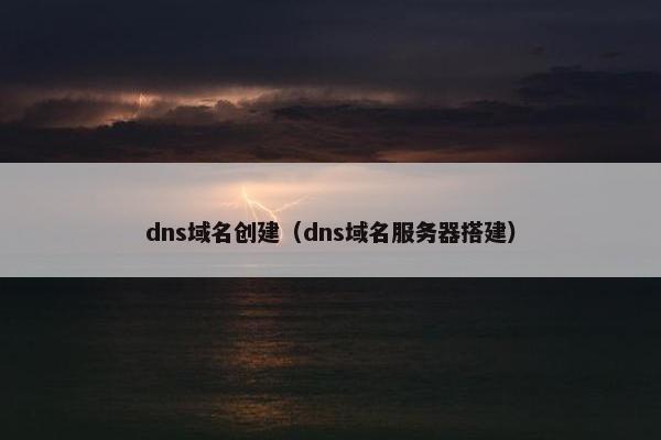 dns域名创建(dns域名服务器搭建)