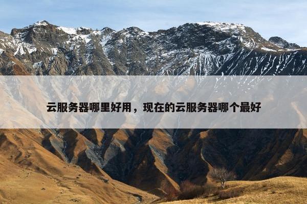 云服务器哪里好用,现在的云服务器哪个最好