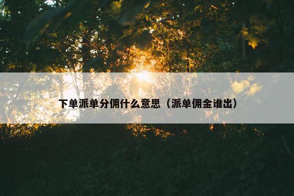 下单派单分佣什么意思(派单佣金谁出)