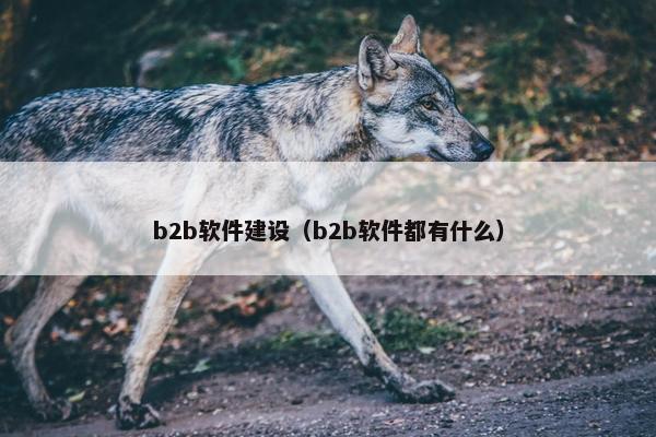 b2b软件建设(b2b软件都有什么)