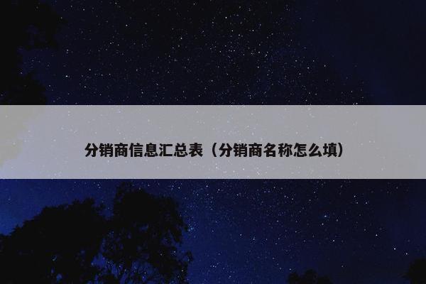 分销商信息汇总表（分销商名称怎么填）