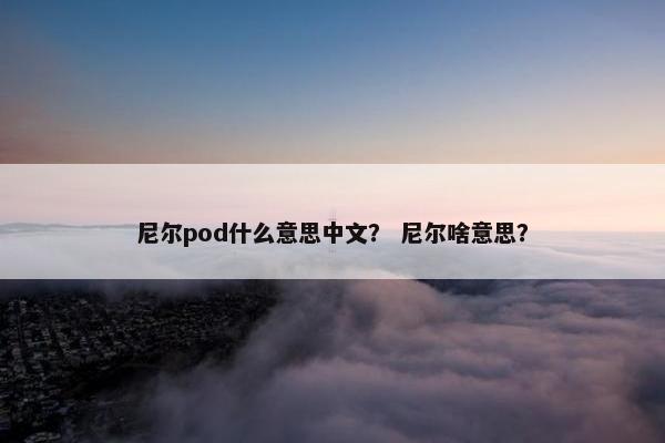 尼尔pod什么意思中文? 尼尔啥意思?