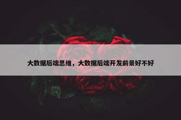 大数据后端思维，大数据后端开发前景好不好