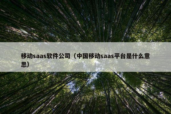 移动saas软件公司（中国移动saas平台是什么意思）