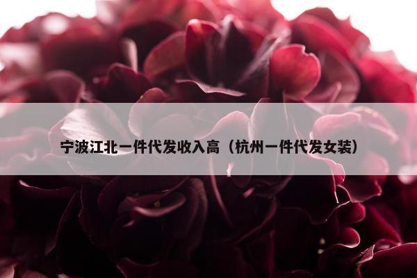 宁波江北一件代发收入高(杭州一件代发女装)