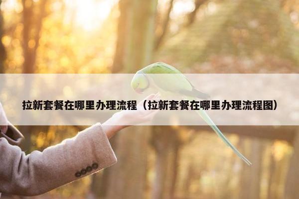 拉新套餐在哪里办理流程（拉新套餐在哪里办理流程图）