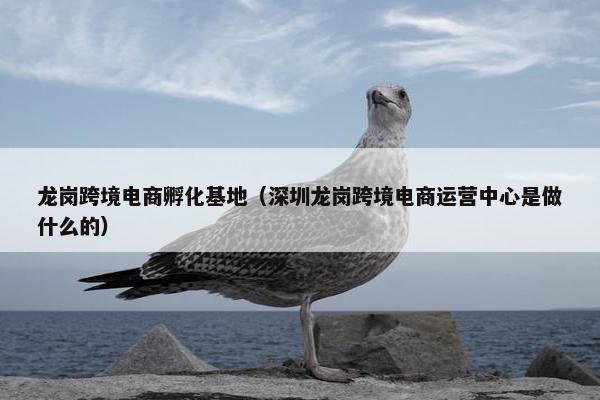 龙岗跨境电商孵化基地（深圳龙岗跨境电商运营中心是做什么的）
