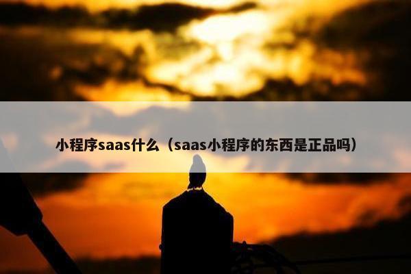 小程序saas什么（saas小程序的东西是正品吗）