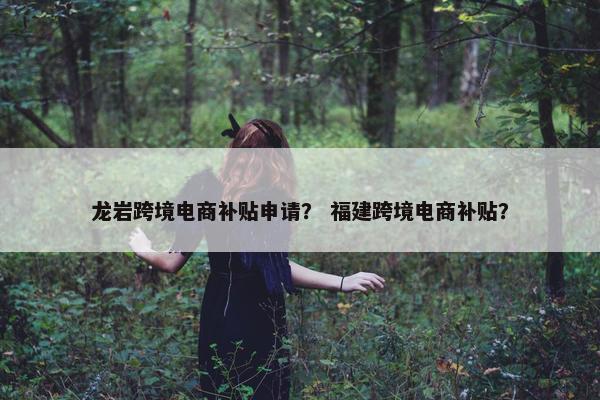 龙岩跨境电商补贴申请？ 福建跨境电商补贴？
