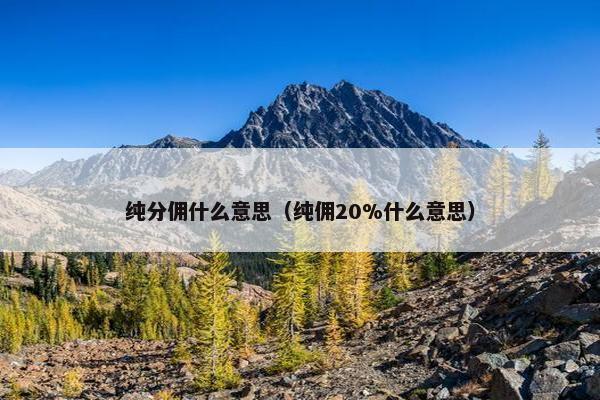 纯分佣什么意思（纯佣20%什么意思）