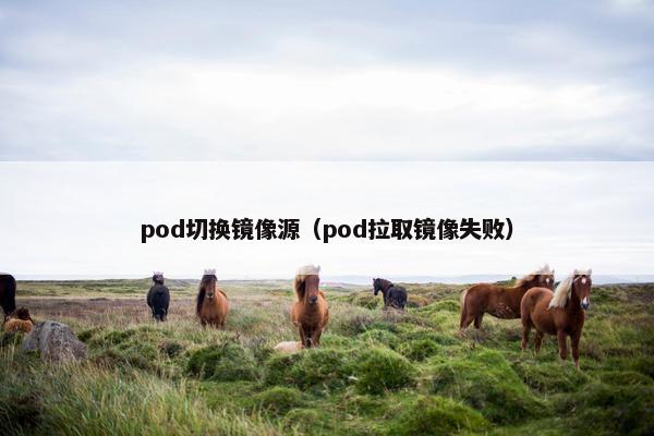pod切换镜像源(pod拉取镜像失败) pod切换镜像源(pod拉取镜像失败)