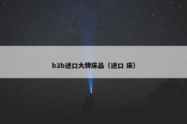 b2b进口大牌床品（进口 床）