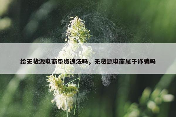 给无货源电商垫资违法吗,无货源电商属于诈骗吗 给无货源电商垫资违法吗,无货源电商属于诈骗吗