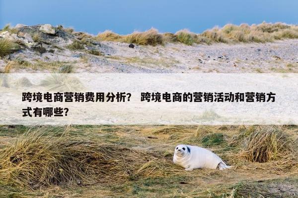 跨境电商营销费用分析？ 跨境电商的营销活动和营销方式有哪些？