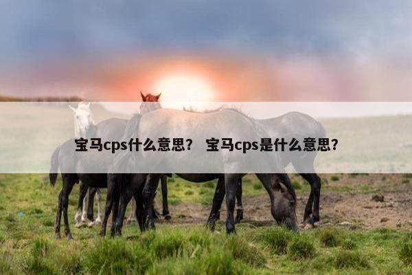 宝马cps什么意思? 宝马cps是什么意思?
