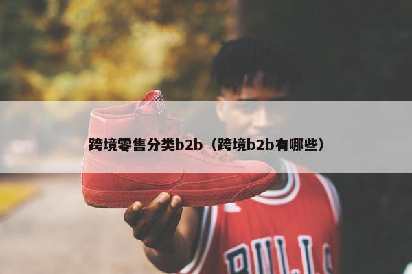 跨境零售分类b2b（跨境b2b有哪些）