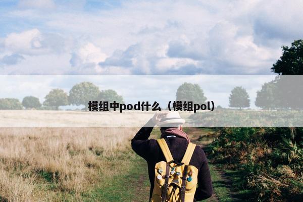 模组中pod什么（模组pol）