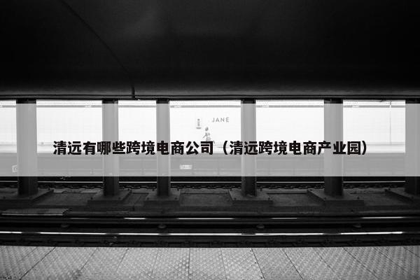 清远有哪些跨境电商公司（清远跨境电商产业园）
