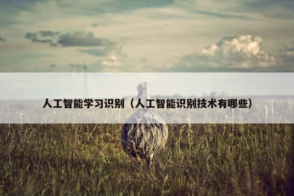 人工智能学习识别（人工智能识别技术有哪些）
