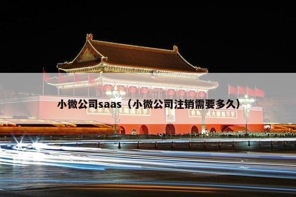 小微公司saas（小微公司注销需要多久）