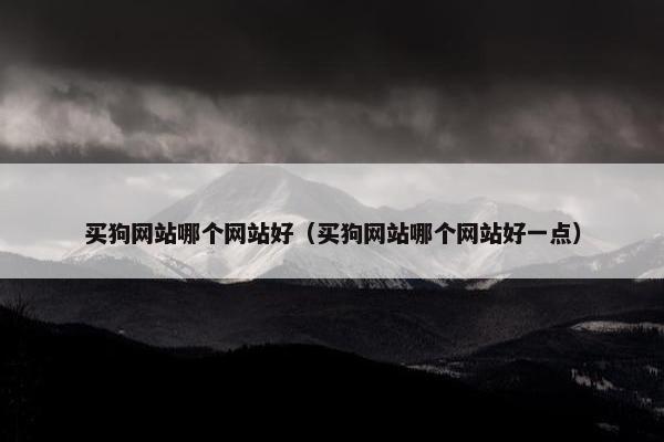 买狗网站哪个网站好（买狗网站哪个网站好一点）