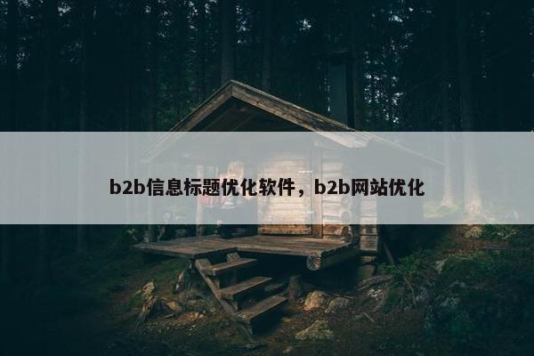 b2b信息标题优化软件，b2b网站优化