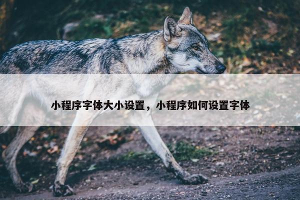 小程序字体大小设置，小程序如何设置字体