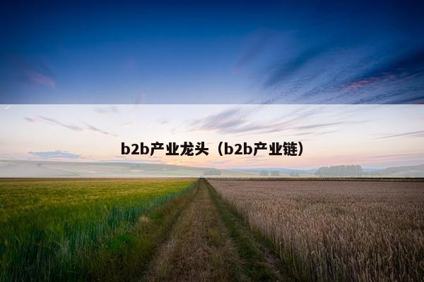 b2b产业龙头(b2b产业链) b2b产业龙头(b2b产业链)