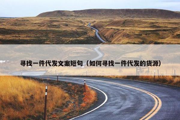 寻找一件代发文案短句（如何寻找一件代发的货源）