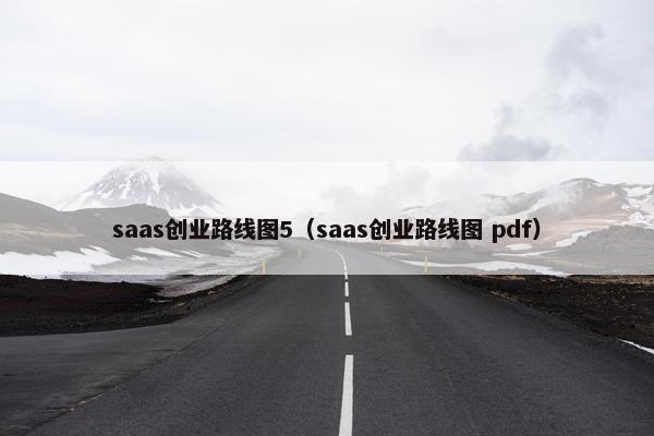 saas创业路线图5（saas创业路线图 pdf）