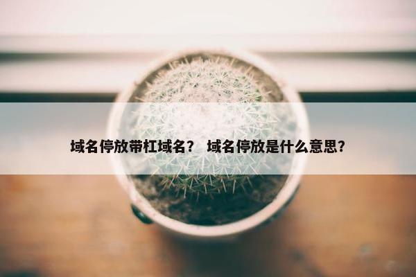 域名停放带杠域名? 域名停放是什么意思? 域名停放带杠域名? 域名停放是什么意思?