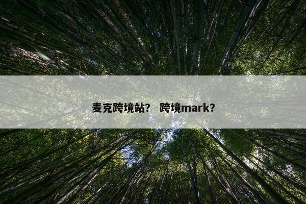 麦克跨境站? 跨境mark? 麦克跨境站? 跨境mark?