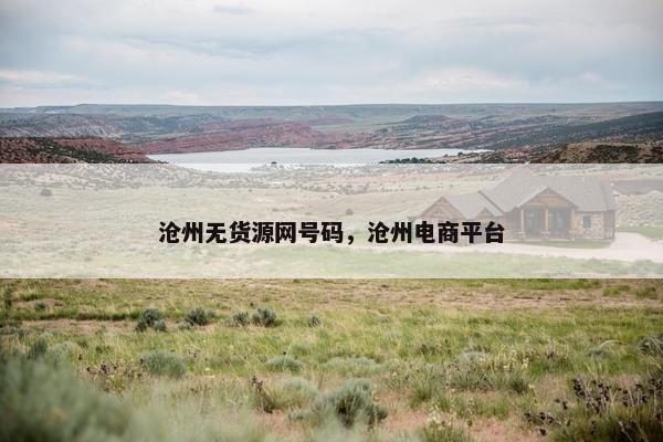 沧州无货源网号码，沧州电商平台