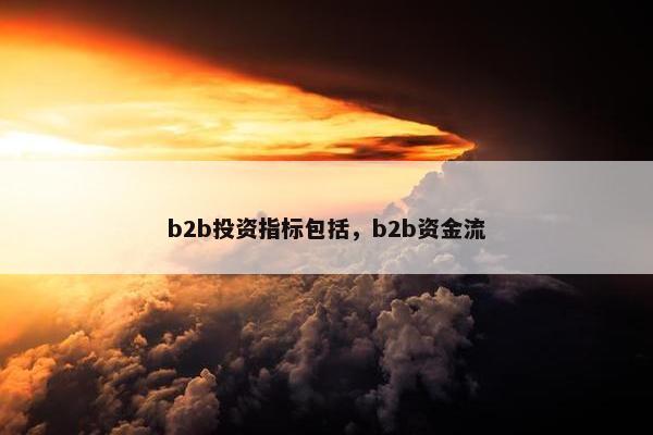 b2b投资指标包括，b2b资金流