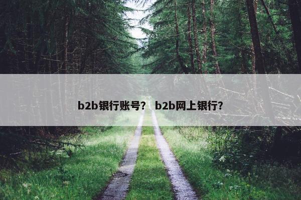 b2b银行账号？ b2b网上银行？