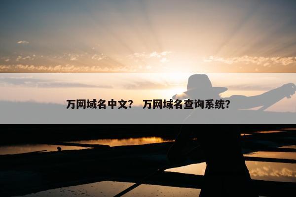 万网域名中文？ 万网域名查询系统？