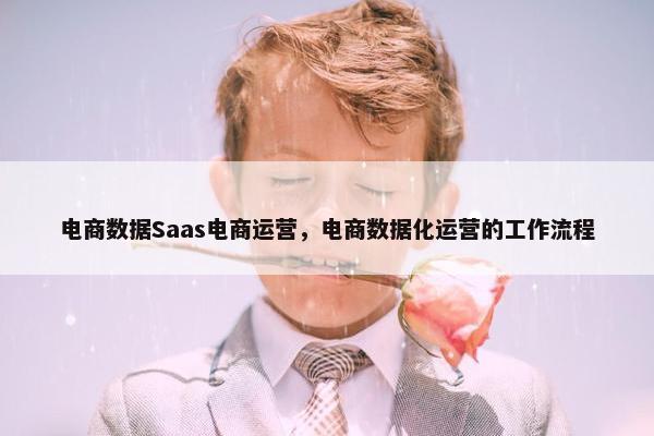 电商数据Saas电商运营,电商数据化运营的工作流程 电商数据Saas电商运营,电商数据化运营的工作流程