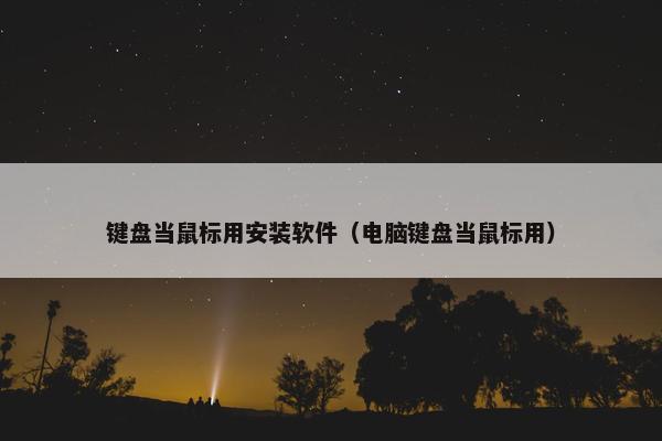 键盘当鼠标用安装软件（电脑键盘当鼠标用）