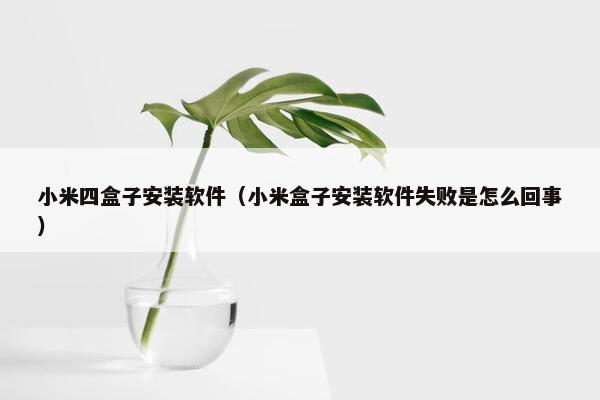 小米四盒子安装软件（小米盒子安装软件失败是怎么回事）