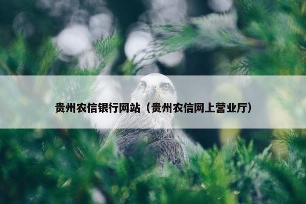 贵州农信银行网站（贵州农信网上营业厅）
