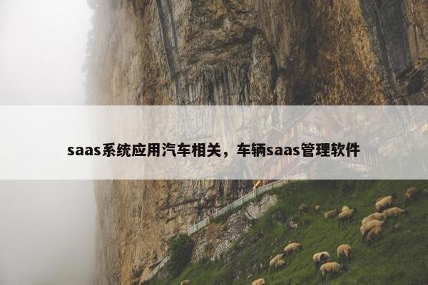 saas系统应用汽车相关,车辆saas管理软件