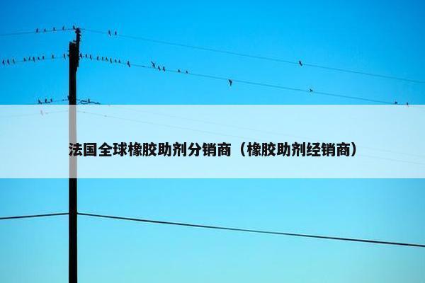 法国全球橡胶助剂分销商(橡胶助剂经销商)