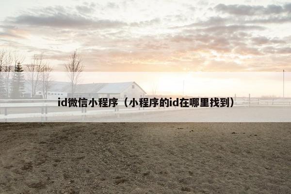 id微信小程序（小程序的id在哪里找到）