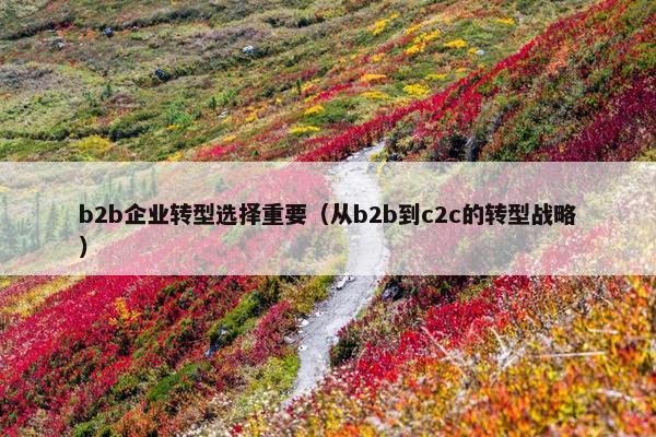 b2b企业转型选择重要（从b2b到c2c的转型战略）