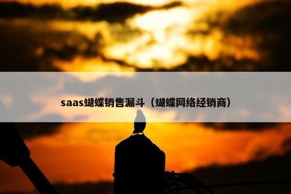 saas蝴蝶销售漏斗（蝴蝶网络经销商）