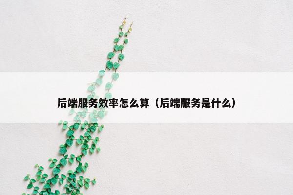 后端服务效率怎么算(后端服务是什么) 后端服务效率怎么算(后端服务是什么)