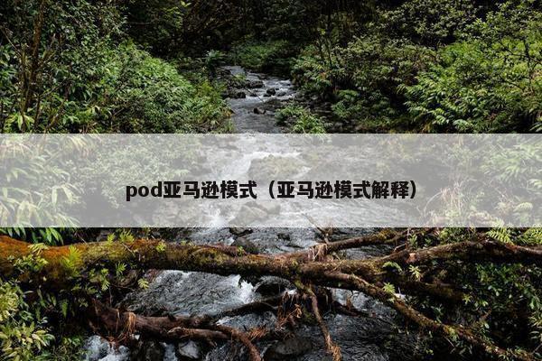 pod亚马逊模式（亚马逊模式解释）