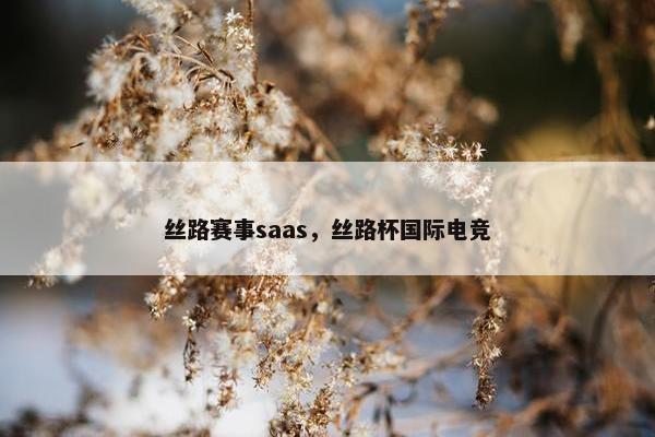 丝路赛事saas，丝路杯国际电竞